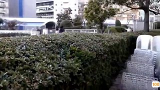 独角鲸老婆小穴若隐若现